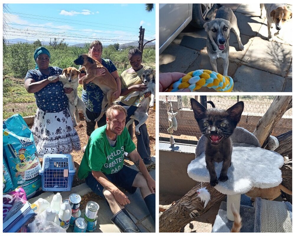 Cradock Animal Shelter